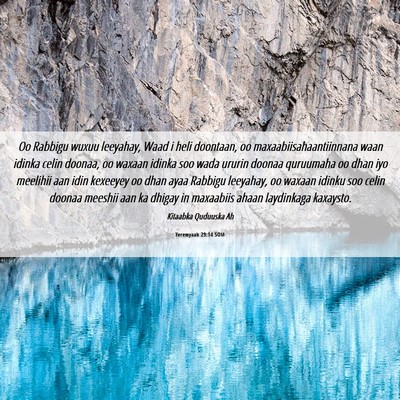 Picture 06 - Yeremyaah 29:14 SOM - Oo Rabbigu wuxuu leeyahay, Waad i heli doontaan, - Bible Verse Picture