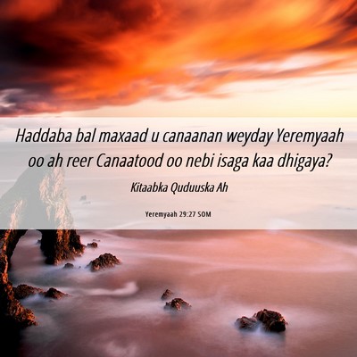 Picture 06 - Yeremyaah 29:27 SOM - Haddaba bal maxaad u canaanan weyday Yeremyaah oo - Bible Verse Picture