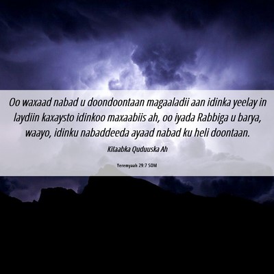 Picture 06 - Yeremyaah 29:7 SOM - Oo waxaad nabad u doondoontaan magaaladii aan - Bible Verse Picture