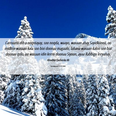 Picture 06 - Yeremyaah 3:14 SOM - Carruurtii dib u noqotayay, soo noqda, waayo, - Bible Verse Picture