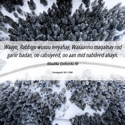 Picture 06 - Yeremyaah 30:5 SOM - Waayo, Rabbigu wuxuu leeyahay, Waxaannu maqalnay - Bible Verse Picture
