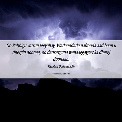 Picture 06 - Yeremyaah 31:14 SOM - Oo Rabbigu wuxuu leeyahay, Wadaaddada naftooda - Bible Verse Picture