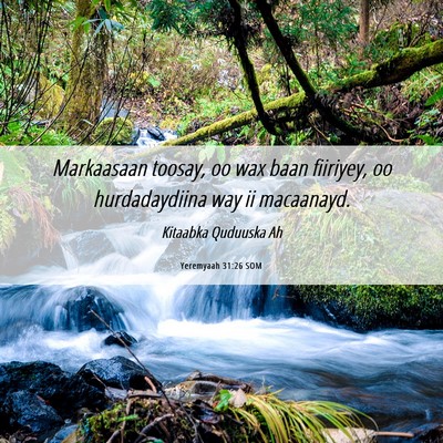 Picture 06 - Yeremyaah 31:26 SOM - Markaasaan toosay, oo wax baan fiiriyey, oo - Bible Verse Picture