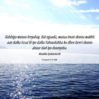 Picture 06 - Yeremyaah 31:27 SOM - Rabbigu wuxuu leeyahay, Bal ogaada, waxaa iman - Bible Verse Picture