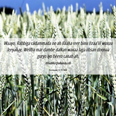 Picture 06 - Yeremyaah 32:15 SOM - Waayo, Rabbiga ciidammada oo ah Ilaaha reer binu - Bible Verse Picture