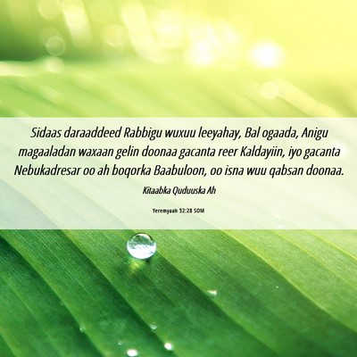 Picture 06 - Yeremyaah 32:28 SOM - Sidaas daraaddeed Rabbigu wuxuu leeyahay, Bal - Bible Verse Picture