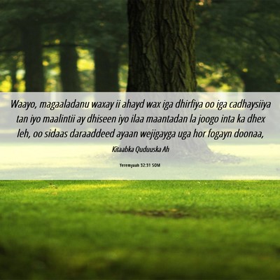 Picture 06 - Yeremyaah 32:31 SOM - Waayo, magaaladanu waxay ii ahayd wax iga - Bible Verse Picture