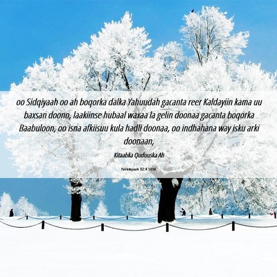 Picture 06 - Yeremyaah 32:4 SOM - oo Sidqiyaah oo ah boqorka dalka Yahuudah gacanta - Bible Verse Picture