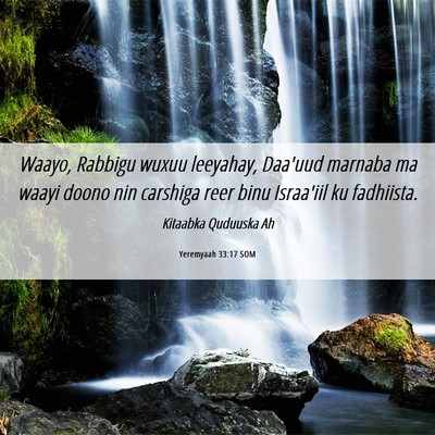 Picture 06 - Yeremyaah 33:17 SOM - Waayo, Rabbigu wuxuu leeyahay, Daa'uud marnaba ma - Bible Verse Picture