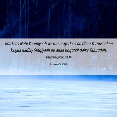 Picture 06 - Yeremyaah 34:6 SOM - Markaas Nebi Yeremyaah wuxuu erayadaas oo dhan - Bible Verse Picture