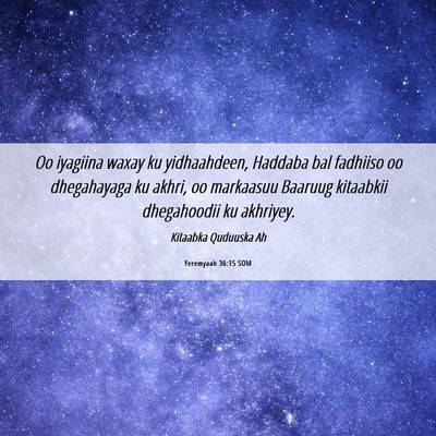 Picture 06 - Yeremyaah 36:15 SOM - Oo iyagiina waxay ku yidhaahdeen, Haddaba bal - Bible Verse Picture