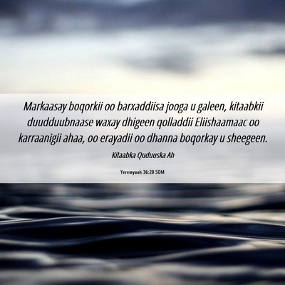 Picture 06 - Yeremyaah 36:20 SOM - Markaasay boqorkii oo barxaddiisa jooga u galeen, - Bible Verse Picture