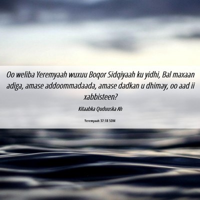 Picture 06 - Yeremyaah 37:18 SOM - Oo weliba Yeremyaah wuxuu Boqor Sidqiyaah ku - Bible Verse Picture