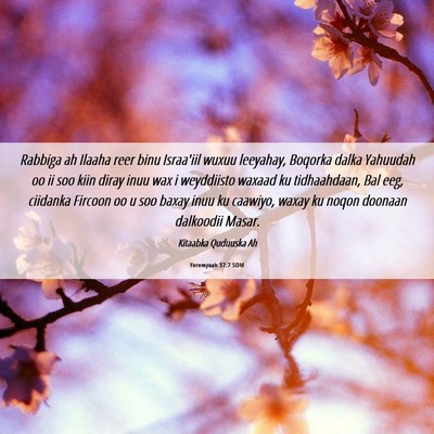 Picture 06 - Yeremyaah 37:7 SOM - Rabbiga ah Ilaaha reer binu Israa'iil wuxuu - Bible Verse Picture