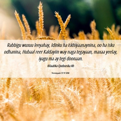 Picture 06 - Yeremyaah 37:9 SOM - Rabbigu wuxuu leeyahay, Idinku ha - Bible Verse Picture