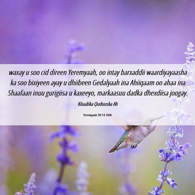 Picture 06 - Yeremyaah 39:14 SOM - waxay u soo cid direen Yeremyaah, oo intay - Bible Verse Picture