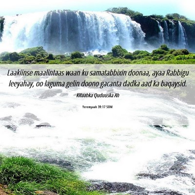 Picture 06 - Yeremyaah 39:17 SOM - Laakiinse maalintaas waan ku samatabbixin doonaa, - Bible Verse Picture