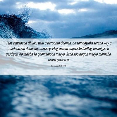 Picture 06 - Yeremyaah 4:28 SOM - Taas aawadeed dhulku wuu u barooran doonaa, oo - Bible Verse Picture