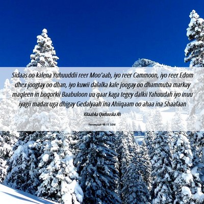 Picture 06 - Yeremyaah 40:11 SOM - Sidaas oo kalena Yuhuuddii reer Moo'aab, iyo reer - Bible Verse Picture
