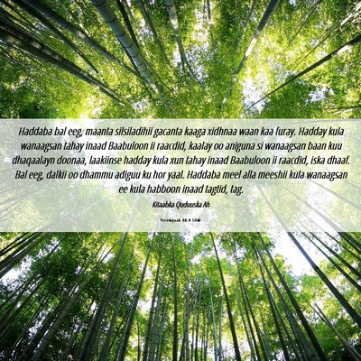 Picture 06 - Yeremyaah 40:4 SOM - Haddaba bal eeg, maanta silsiladihii gacanta - Bible Verse Picture