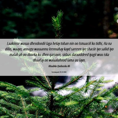 Picture 06 - Yeremyaah 41:8 SOM - Laakiinse waxaa dhexdoodii laga helay toban nin - Bible Verse Picture