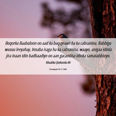 Picture 06 - Yeremyaah 42:11 SOM - Boqorka Baabuloon oo aad ka baqaysaan ha ka - Bible Verse Picture