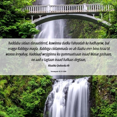 Picture 06 - Yeremyaah 42:15 SOM - haddaba sidaas daraaddeed, kuwiinna dadka - Bible Verse Picture