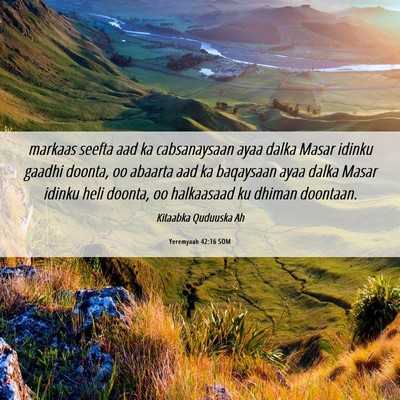 Picture 06 - Yeremyaah 42:16 SOM - markaas seefta aad ka cabsanaysaan ayaa dalka - Bible Verse Picture