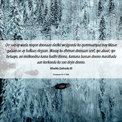 Picture 06 - Yeremyaah 42:17 SOM - Oo saasay wada noqon doonaan dadkii wejigooda ku - Bible Verse Picture