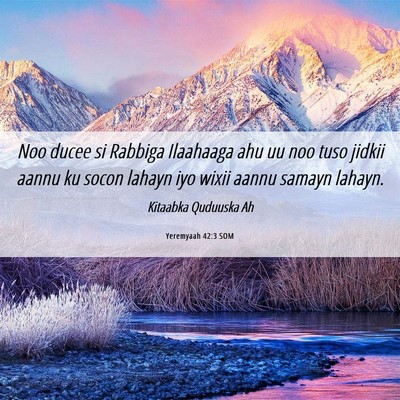 Picture 06 - Yeremyaah 42:3 SOM - Noo ducee si Rabbiga Ilaahaaga ahu uu noo tuso - Bible Verse Picture