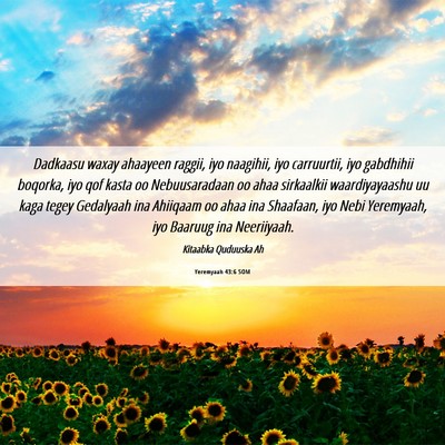 Picture 06 - Yeremyaah 43:6 SOM - Dadkaasu waxay ahaayeen raggii, iyo naagihii, iyo - Bible Verse Picture