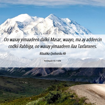 Picture 06 - Yeremyaah 43:7 SOM - Oo waxay yimaadeen dalkii Masar, waayo, ma ay - Bible Verse Picture