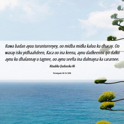 Picture 06 - Yeremyaah 46:16 SOM - Kuwa badan ayuu turuntureeyey, oo midba midka - Bible Verse Picture