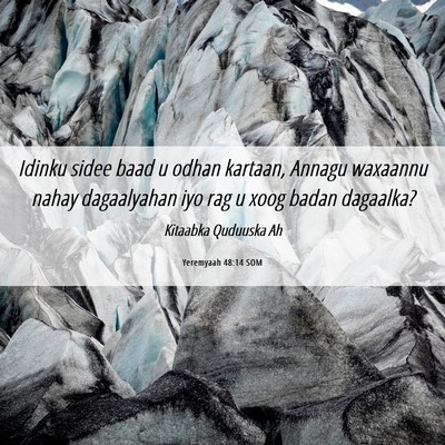 Picture 06 - Yeremyaah 48:14 SOM - Idinku sidee baad u odhan kartaan, Annagu - Bible Verse Picture