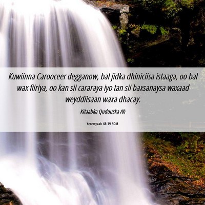 Picture 06 - Yeremyaah 48:19 SOM - Kuwiinna Carooceer degganow, bal jidka dhiniciisa - Bible Verse Picture