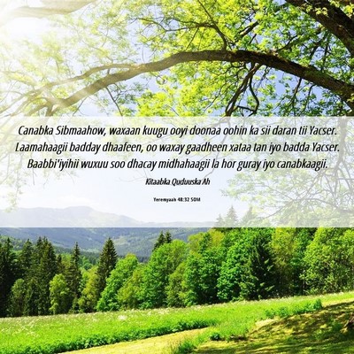 Picture 06 - Yeremyaah 48:32 SOM - Canabka Sibmaahow, waxaan kuugu ooyi doonaa oohin - Bible Verse Picture