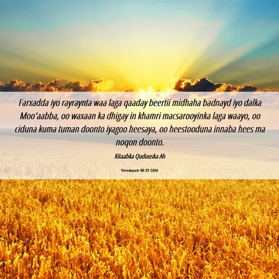 Picture 06 - Yeremyaah 48:33 SOM - Farxadda iyo rayraynta waa laga qaaday beertii - Bible Verse Picture