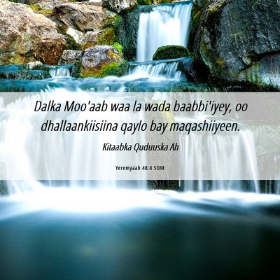 Picture 06 - Yeremyaah 48:4 SOM - Dalka Moo'aab waa la wada baabbi'iyey, oo - Bible Verse Picture