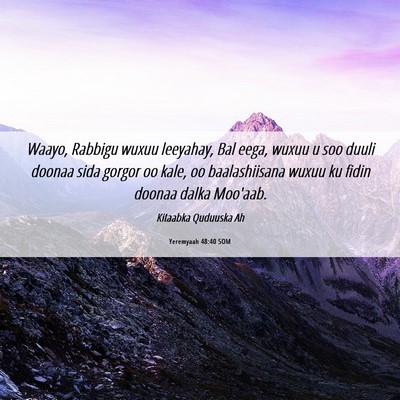 Picture 06 - Yeremyaah 48:40 SOM - Waayo, Rabbigu wuxuu leeyahay, Bal eega, wuxuu u - Bible Verse Picture