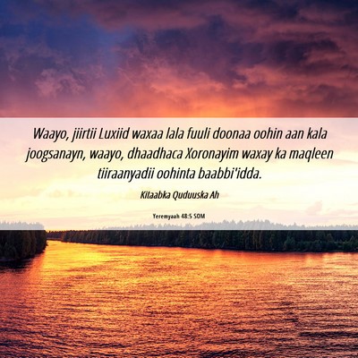Picture 06 - Yeremyaah 48:5 SOM - Waayo, jiirtii Luxiid waxaa lala fuuli doonaa - Bible Verse Picture