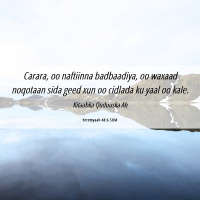 Picture 06 - Yeremyaah 48:6 SOM - Carara, oo naftiinna badbaadiya, oo waxaad - Bible Verse Picture