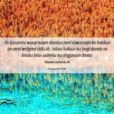 Picture 06 - Yeremyaah 49:33 SOM - Oo Xaasoorna waxay noqon doontaa meel dawacooyin - Bible Verse Picture