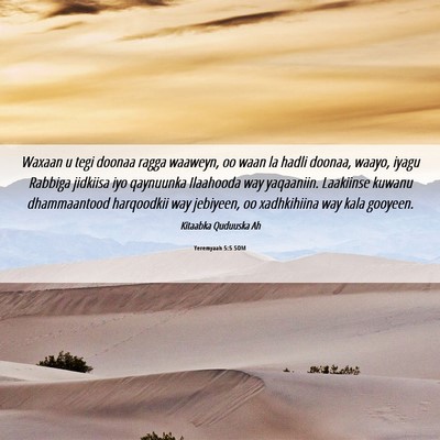 Picture 06 - Yeremyaah 5:5 SOM - Waxaan u tegi doonaa ragga waaweyn, oo waan la - Bible Verse Picture