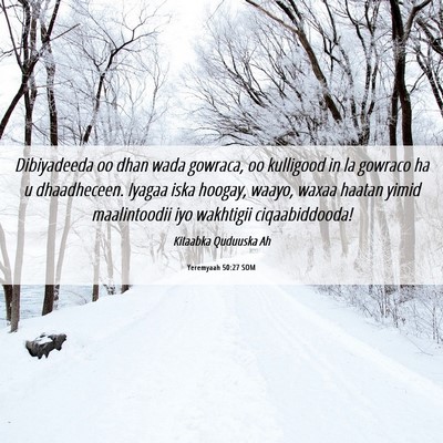 Picture 06 - Yeremyaah 50:27 SOM - Dibiyadeeda oo dhan wada gowraca, oo kulligood in - Bible Verse Picture