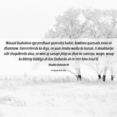 Picture 06 - Yeremyaah 50:29 SOM - Waxaad Baabuloon ugu yeedhaan qaansoley badan, - Bible Verse Picture