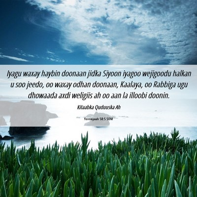 Picture 06 - Yeremyaah 50:5 SOM - Iyagu waxay haybin doonaan jidka Siyoon iyagoo - Bible Verse Picture