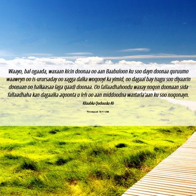 Picture 06 - Yeremyaah 50:9 SOM - Waayo, bal ogaada, waxaan kicin doonaa oo aan - Bible Verse Picture