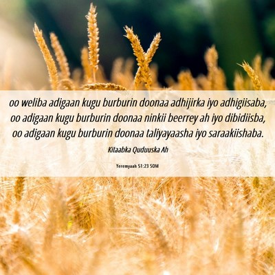 Picture 06 - Yeremyaah 51:23 SOM - oo weliba adigaan kugu burburin doonaa adhijirka - Bible Verse Picture