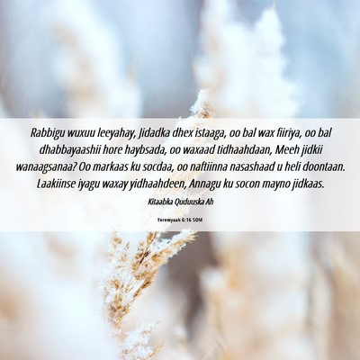 Picture 06 - Yeremyaah 6:16 SOM - Rabbigu wuxuu leeyahay, Jidadka dhex istaaga, oo - Bible Verse Picture