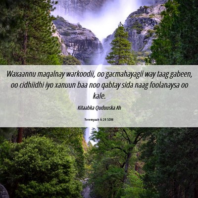 Picture 06 - Yeremyaah 6:24 SOM - Waxaannu maqalnay warkoodii, oo gacmahayagii way - Bible Verse Picture